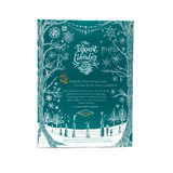 Diamine 2025 InktVent Kalender Teal Editie