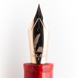 Leonardo Momento Zero Grande Dutch Pen Show 2026 Love Letters RG Vulpen