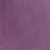 Clairefontaine etui - P.W. Akkerman Den Haag