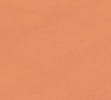 Pennenetui Clairefontaine