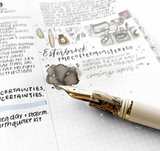 De Esterbrook en TheCoffeeMonsterzCo Vulpen