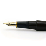 Platinum Izumo Tagayasan vulpen Glanzend