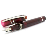 Visconti Homo Sapiens Demo Stones Ruby vulpen - P.W. Akkerman Den Haag