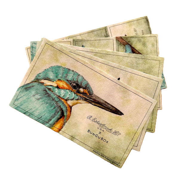 Esterbrook Kingfisher Blotter Papier