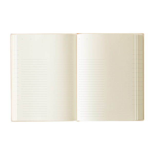 Midori MD Notebook Diary 1 Day 1 Page A5  2026