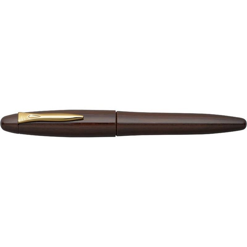 Platinum Izumo Tagayasan vulpen Glanzend