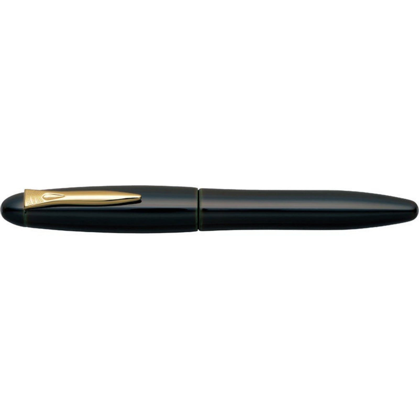 Platinum Izumo Sora-Tame fountain pen (black-green) –